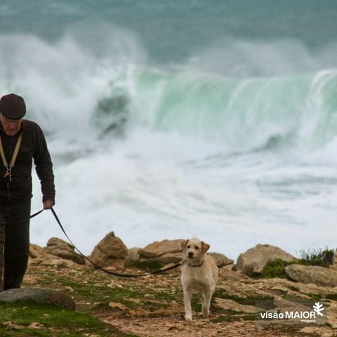 Um homem a passear o cão